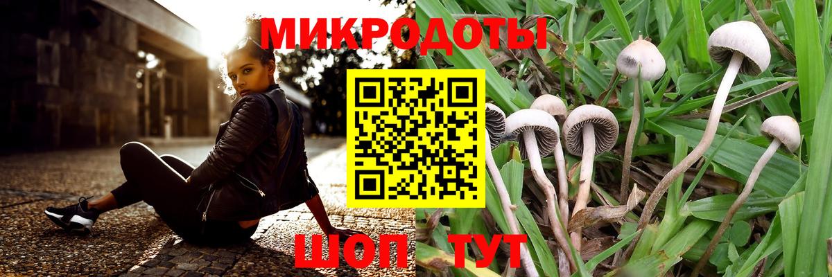 Галлюциногенные грибы GOLDEN TEACHER Александров