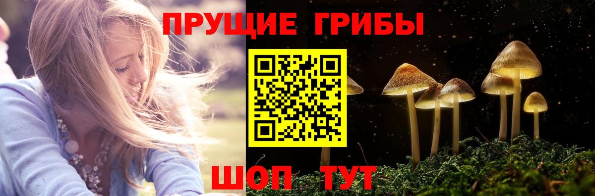Александров  Галлюциногенные грибы мицелий  Вход с VPN 